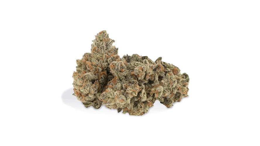 AMNESIA HAZE (sativa)