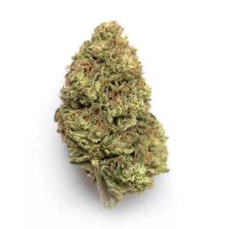 FATSO OG (indica)