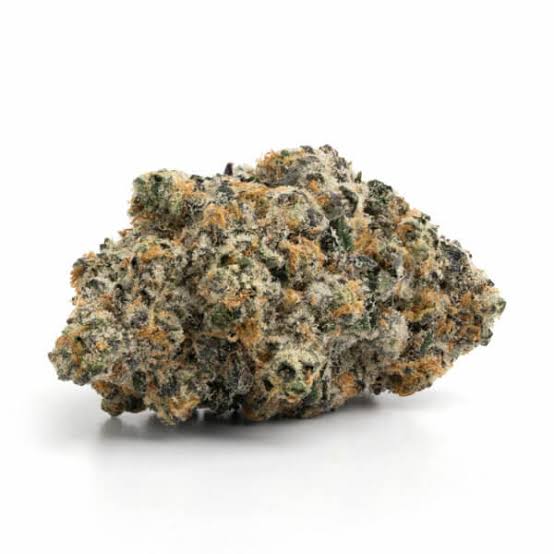 HAWAIIAN MANGO (hybrid)