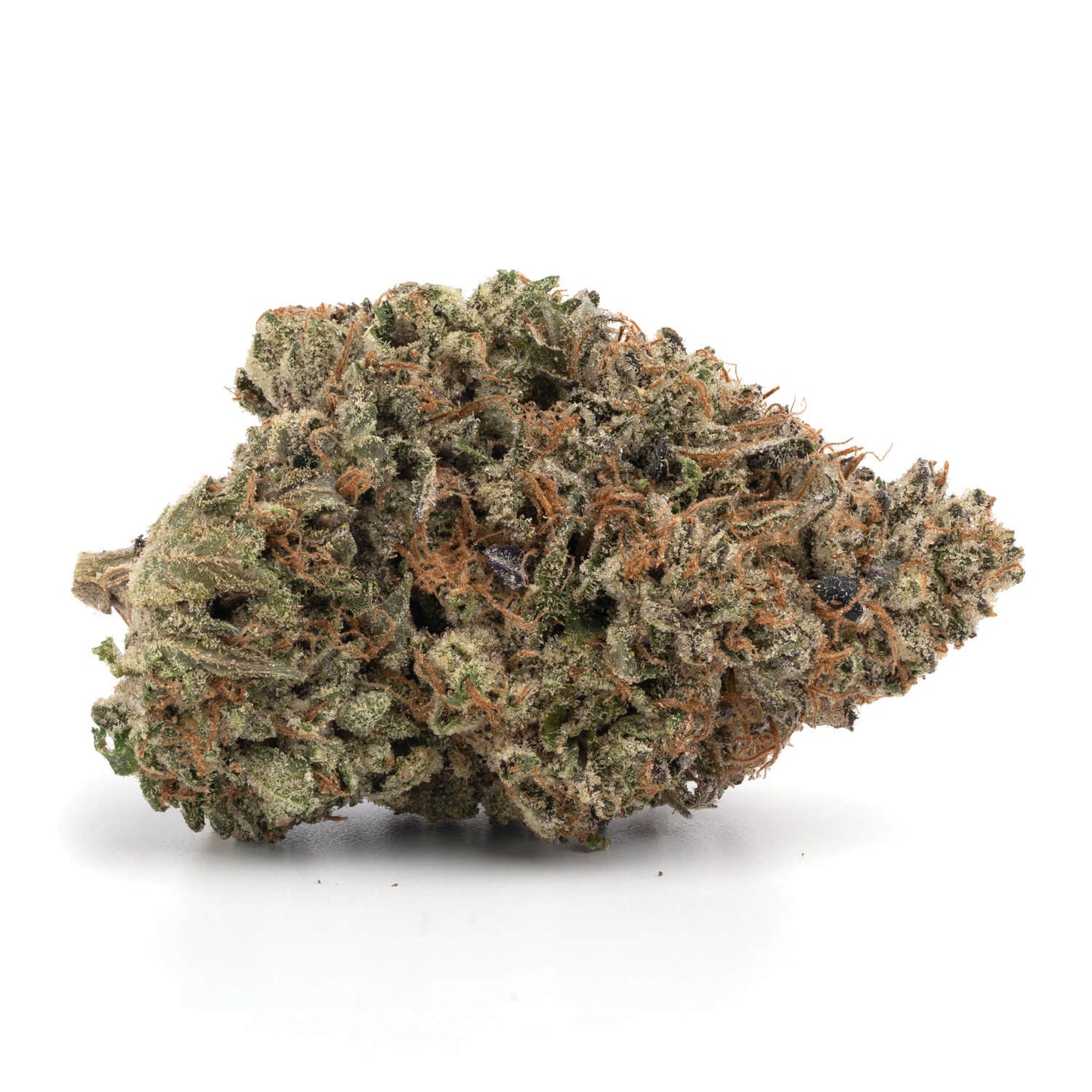 Platinum Bubba(hybrid)