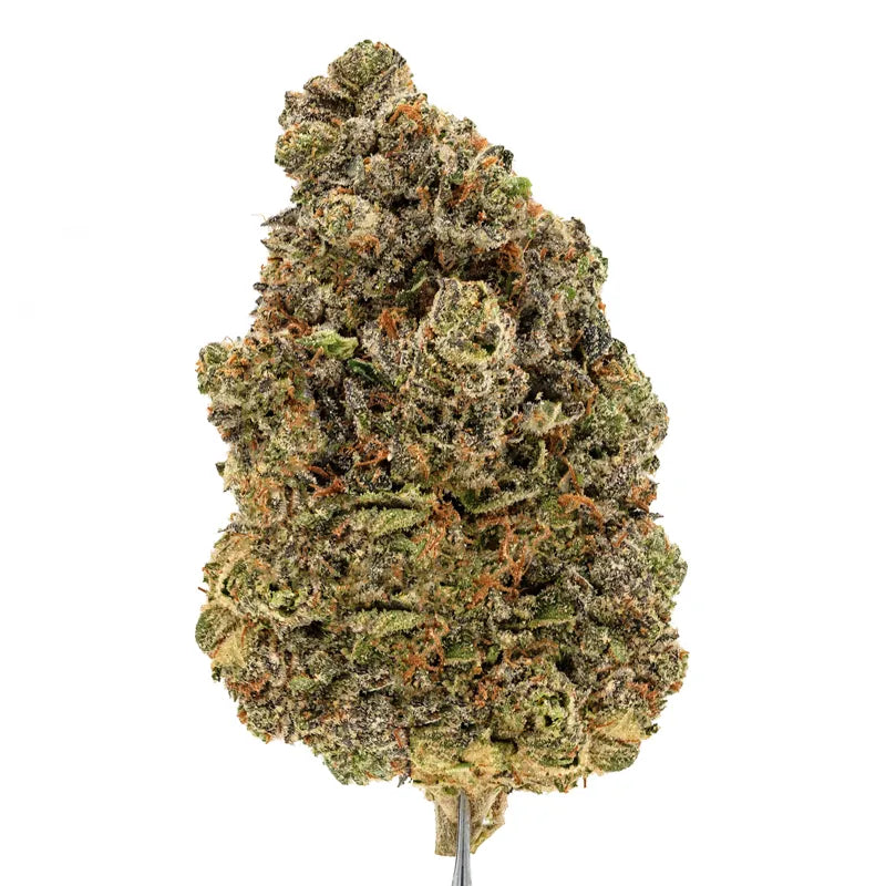STRAWBERRY GELONADE (Hybrid)