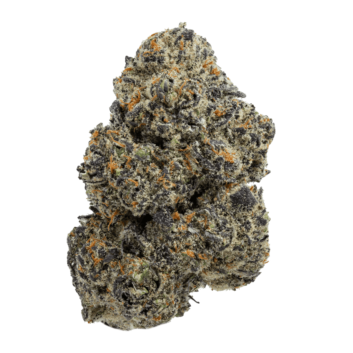 GUAVA BERRY (indica)
