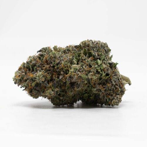 ZKITTLES (indica)