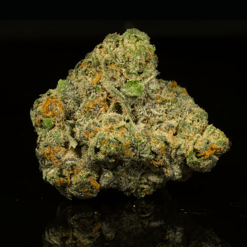 BLACK AMBER (hybrid)