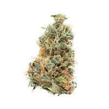 Blue Dream (Sativa)