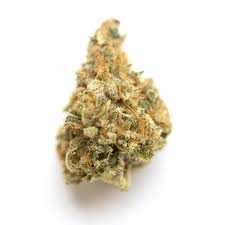 Blue Rhino (Hybrid)
