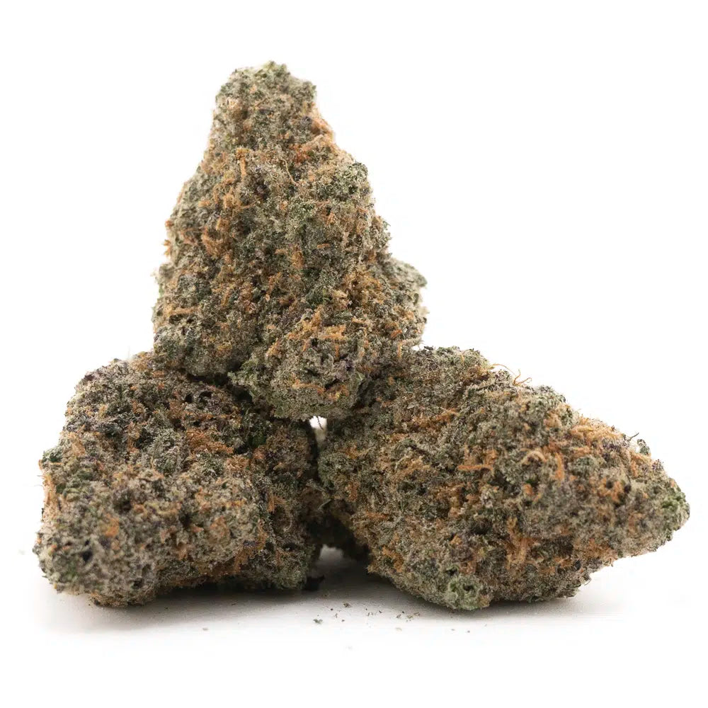 BAJA BERRY (Indica)