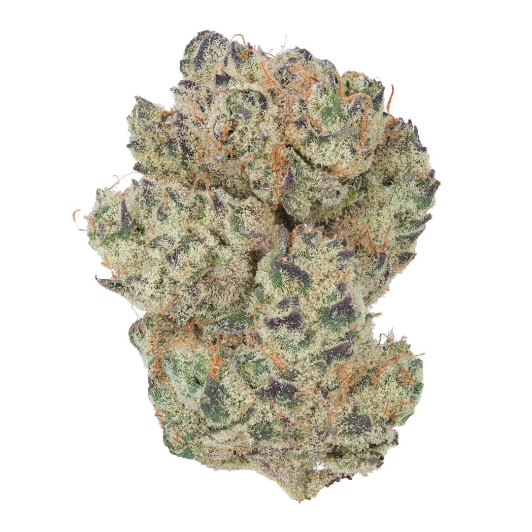 Chimera (hybrid)