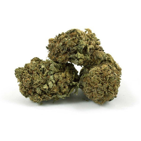 King Arthur (indica)