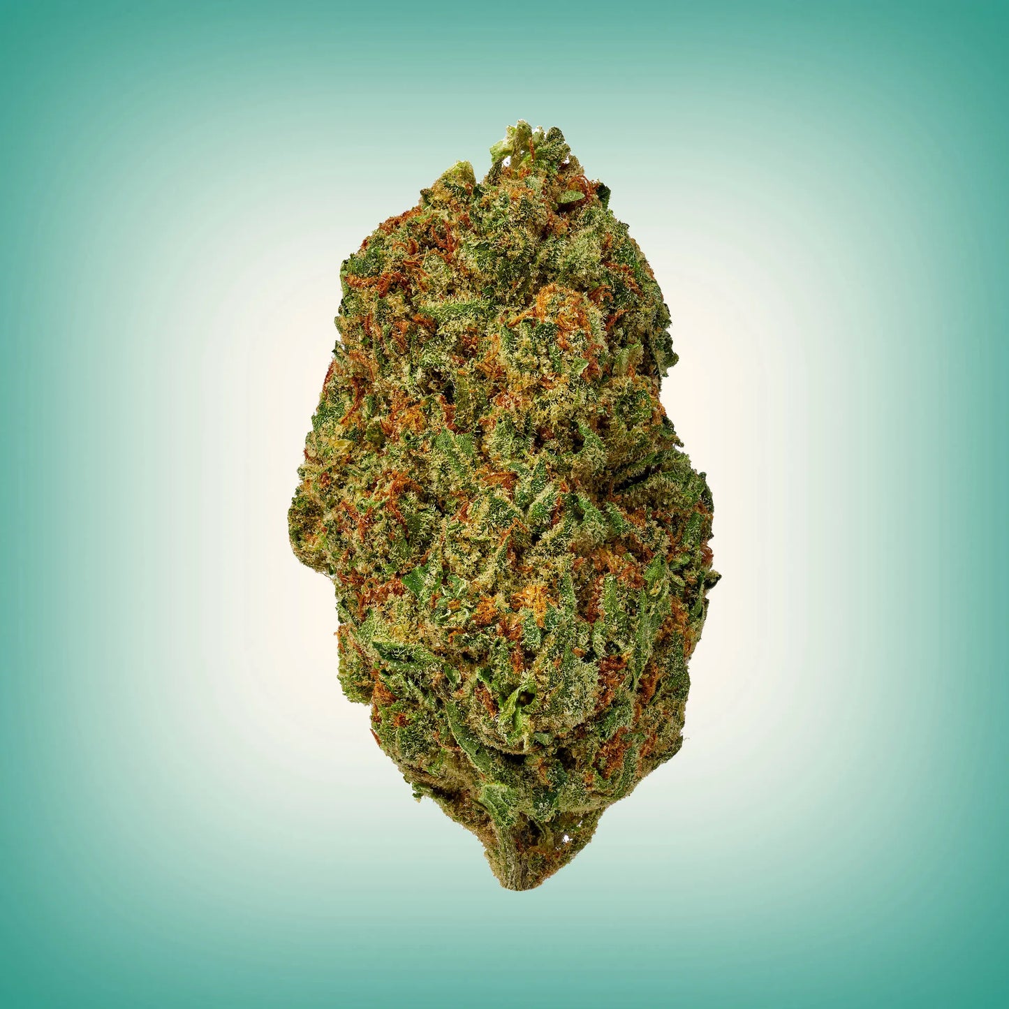 Super Limon Haze (sativa)