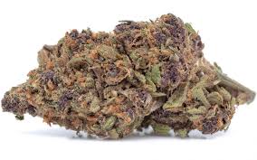 Forbidden Fruit (Hybrid)