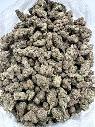 Glitter Bomb (Hybrid)