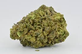 Gorilla Glue #33 (Hybrid)
