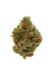 Glue Kush (Indica)