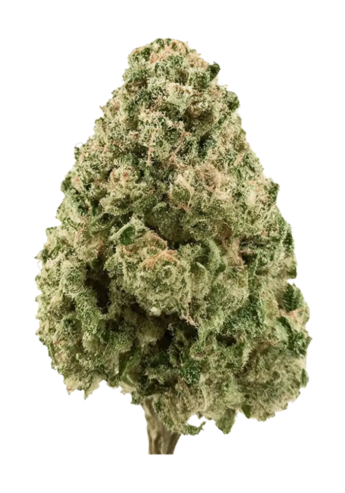 GSC (hybrid)