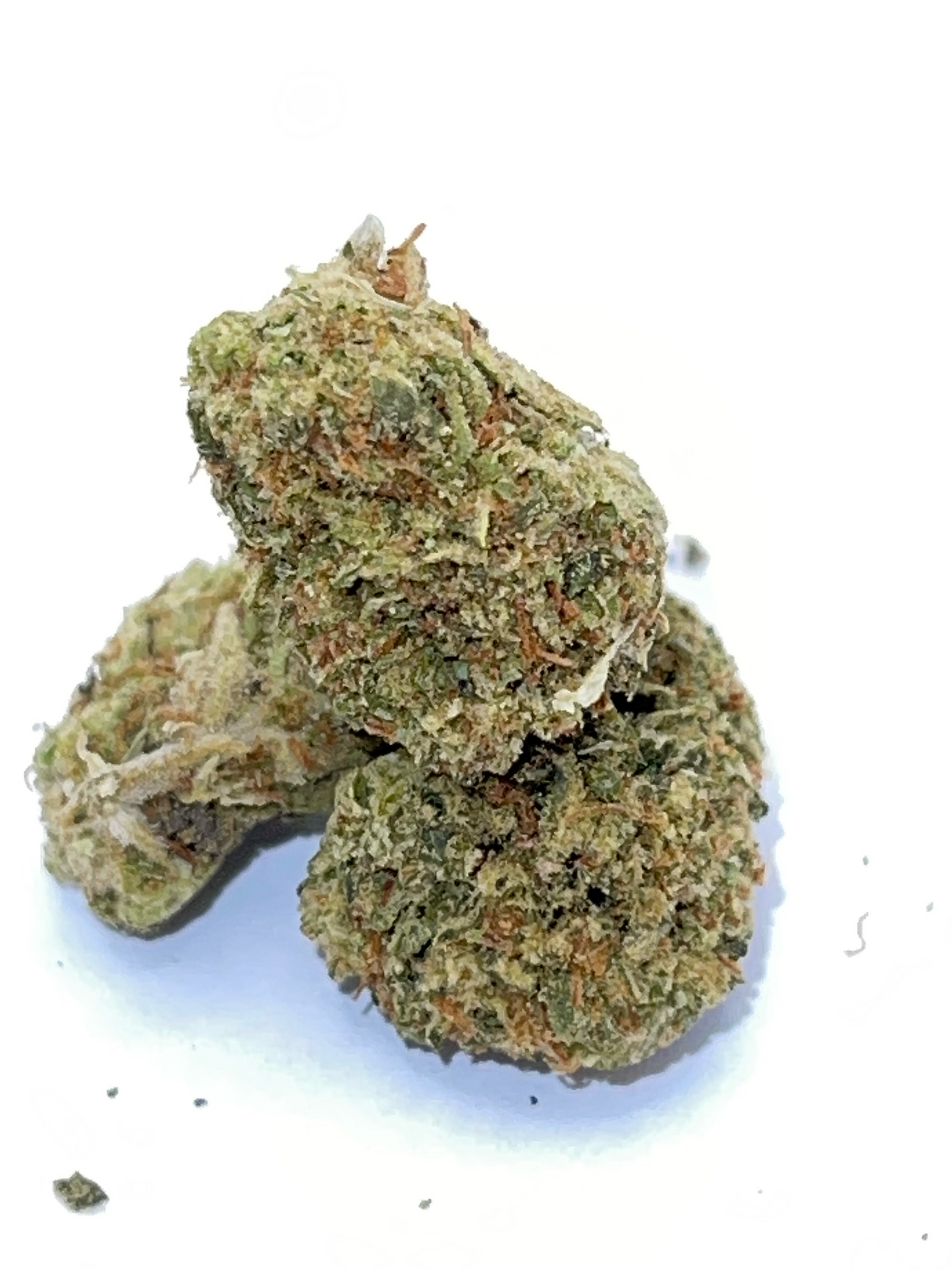 GUMBO (Hybrid)