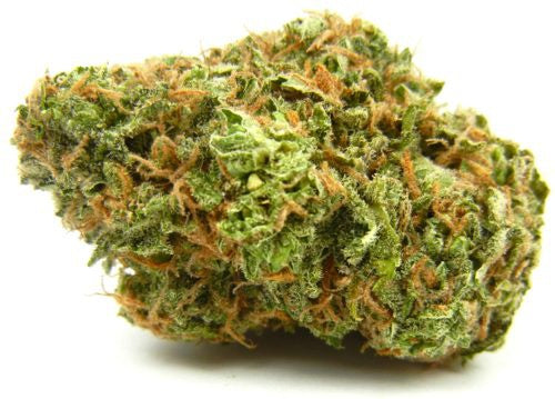 OASIS (indica)