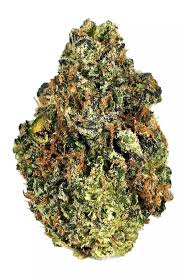 Prom Night (Hybrid)