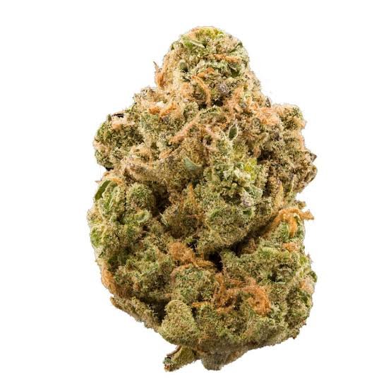 Navel Tangie (Hybrid/Sativa)