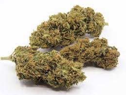 Lemon OG (Hybrid)