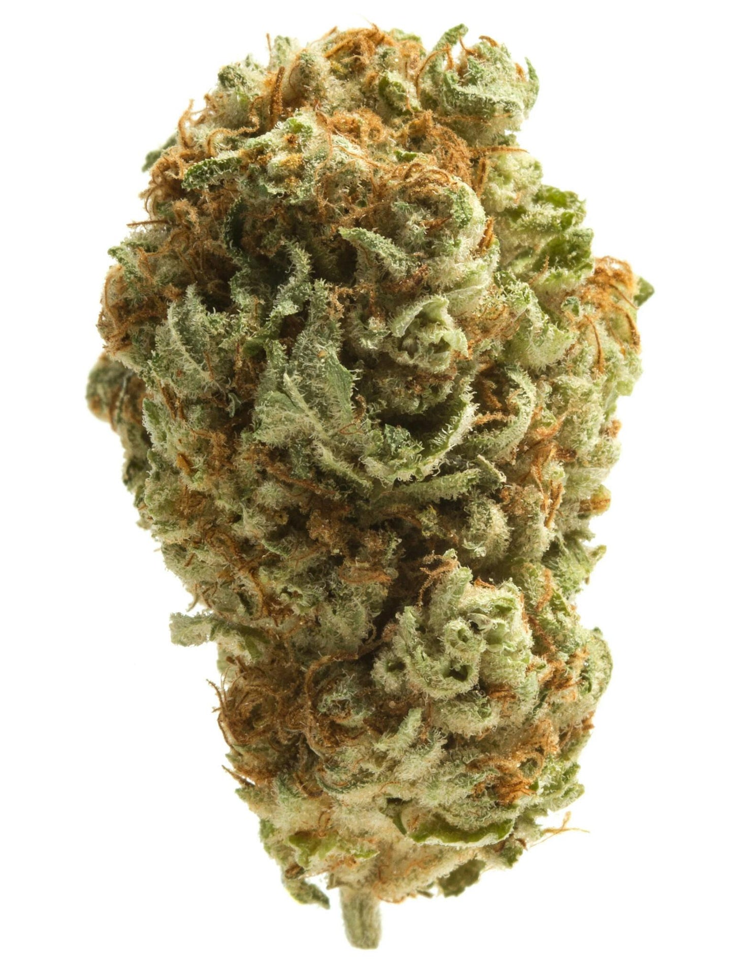 Mamba OG (indica)