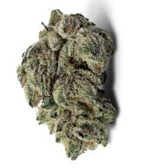 Oreoz (Hybrid)