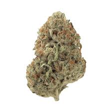 PINA COLADA (Indica)