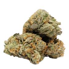 Pine OG (Indica)