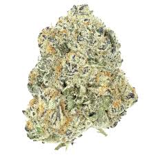 Purple Afghani (Indica)