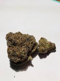 Purple Velvet (Hybrid)