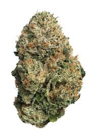 Runtz (Hybrid)