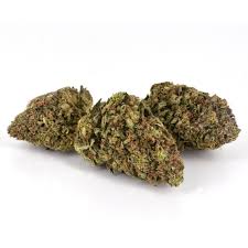 Skywalker OG (Indica)