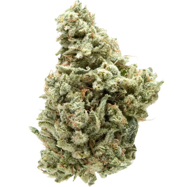 Sour Cookies (sativa)