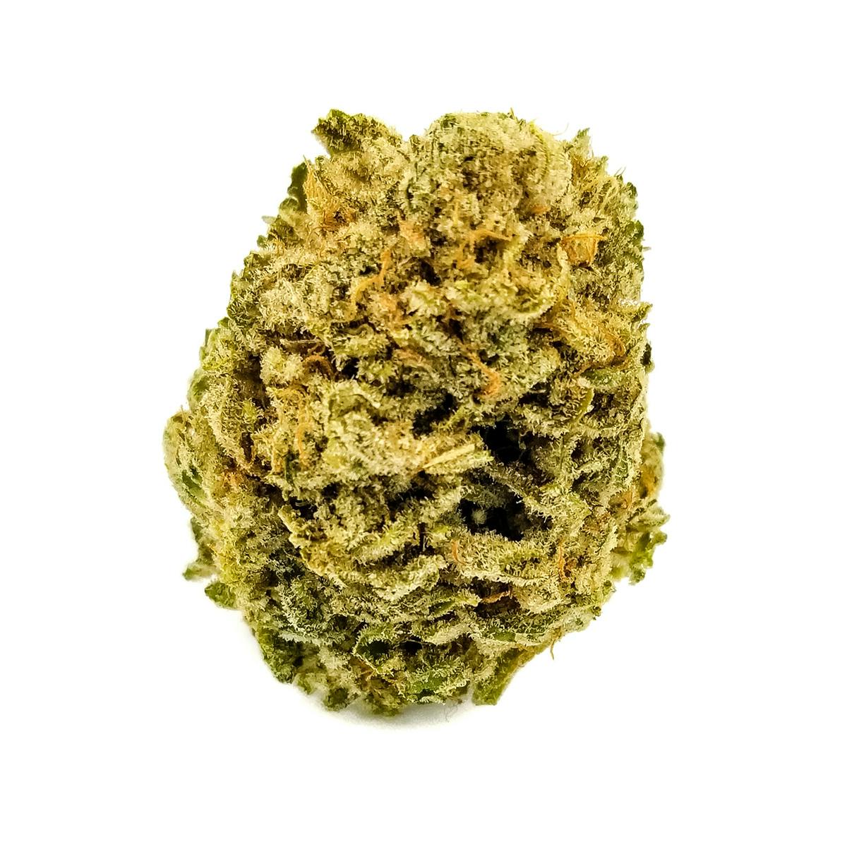 Sunshine Daydream (Sativa)