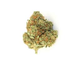 Tres Leches (Hybrid)