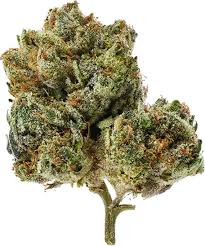 Wedding Kush (Indica)