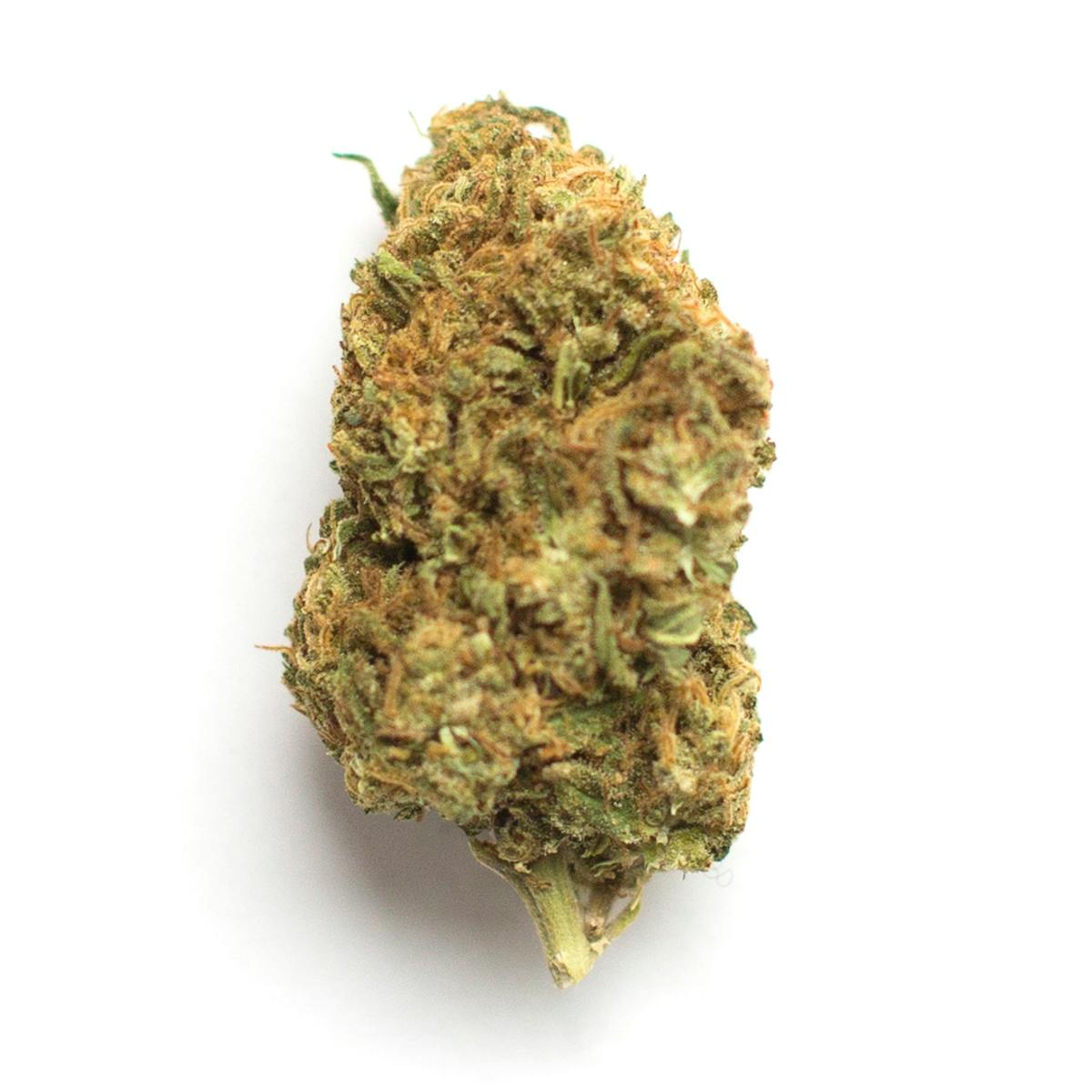 White Haze (Sativa)