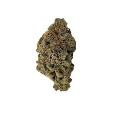 Zummy Buns (Hybrid)