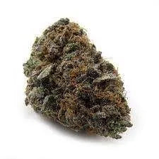 Very Berry Haze (sativa)