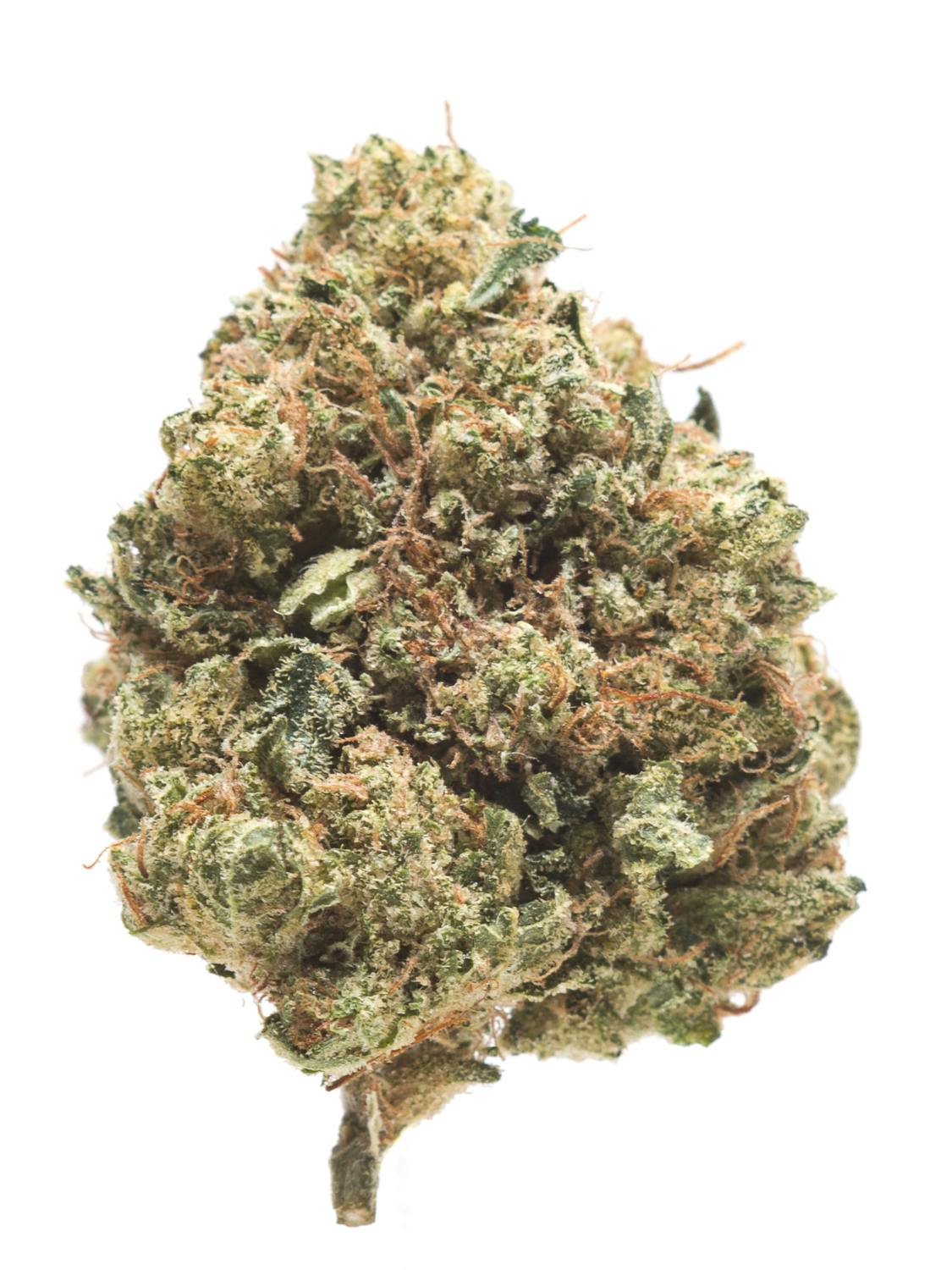 Larry og (Indica)