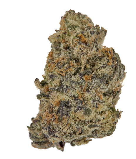 BLUE RITZ (hybrid)