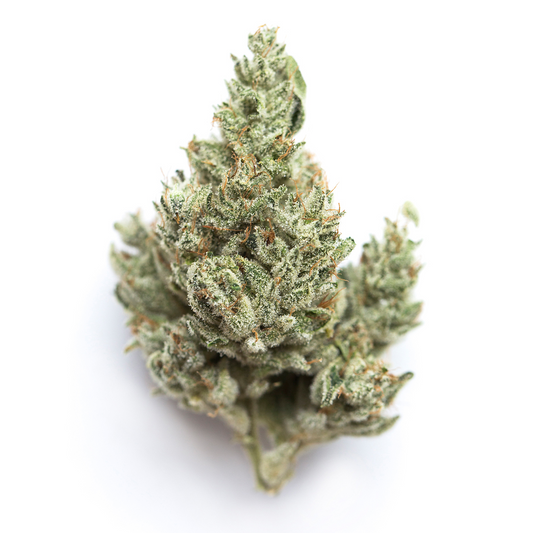 ATF (sativa)