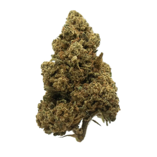 Amnesia Haze (sativa)