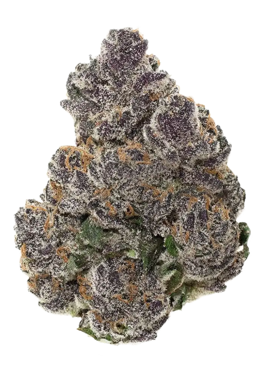 BLACK TRUFFLE (indica)