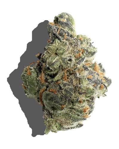 BLUE DREAM (sativa)
