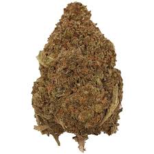 Brain Damage (Hybrid)
