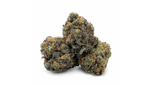CANDY SPRINKLEZ (hybrid)