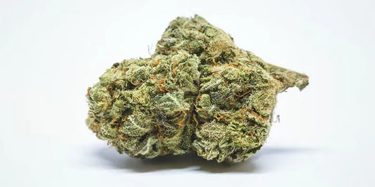 Superman OG (Hybrid)