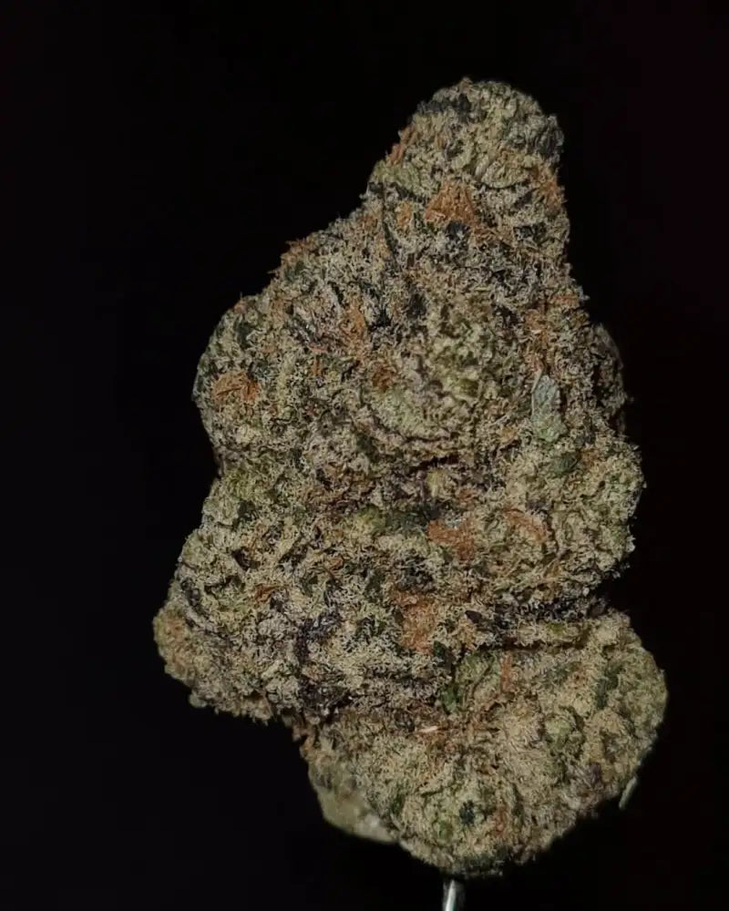 DO SI DOS (Indica)