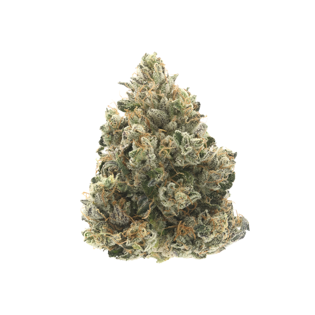 DONNY BURGER (indica)
